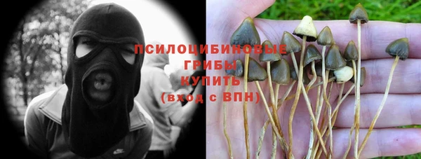 mdpv Пенза