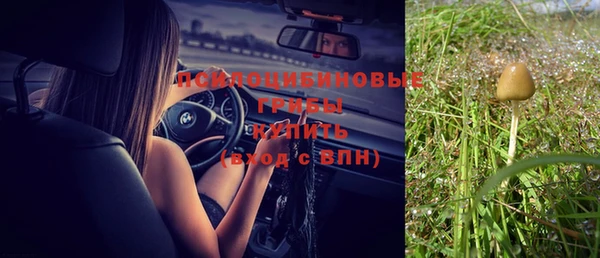 mdpv Пенза