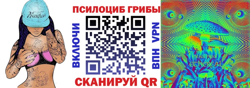 Галлюциногенные грибы Psilocybe  где купить наркоту  Благодарный 