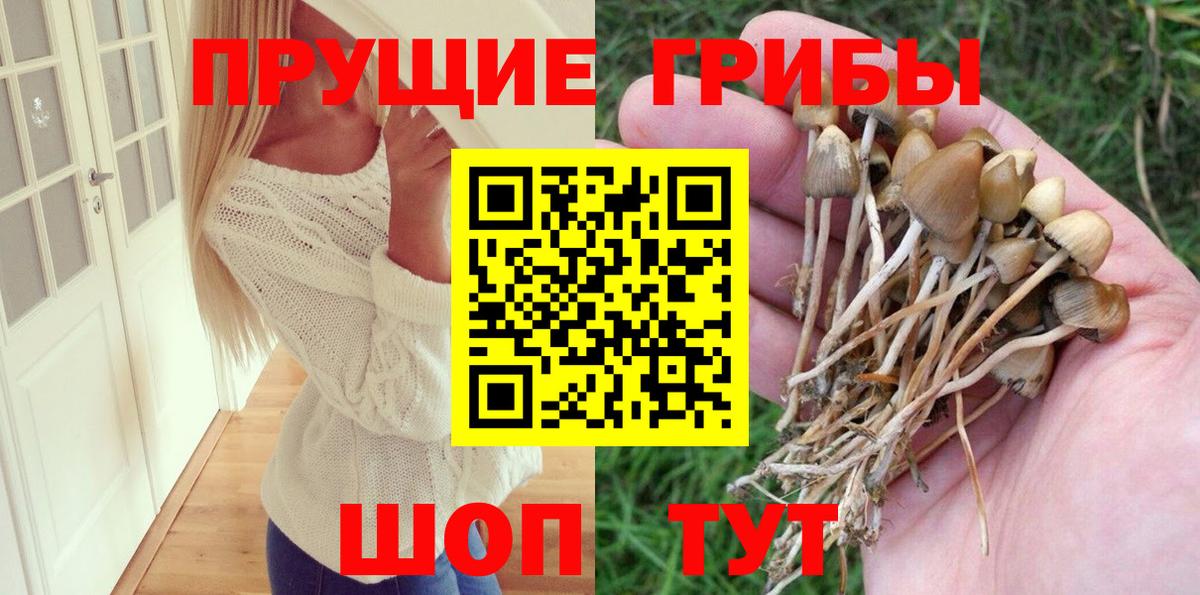 Благодарный  Галлюциногенные грибы GOLDEN TEACHER  Вход с VPN 
