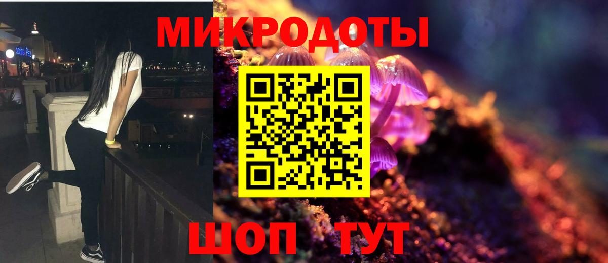 Псилоцибиновые грибы мицелий  Благодарный  Псилоцибиновые грибы Cubensis 