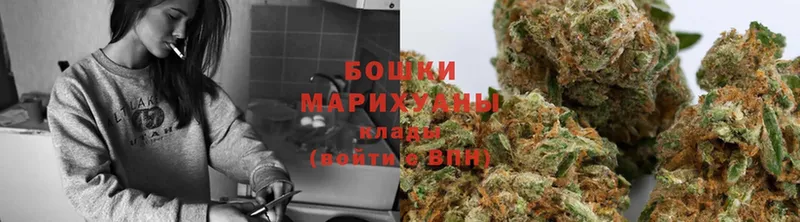 закладка  Благодарный  Марихуана THC 21% 